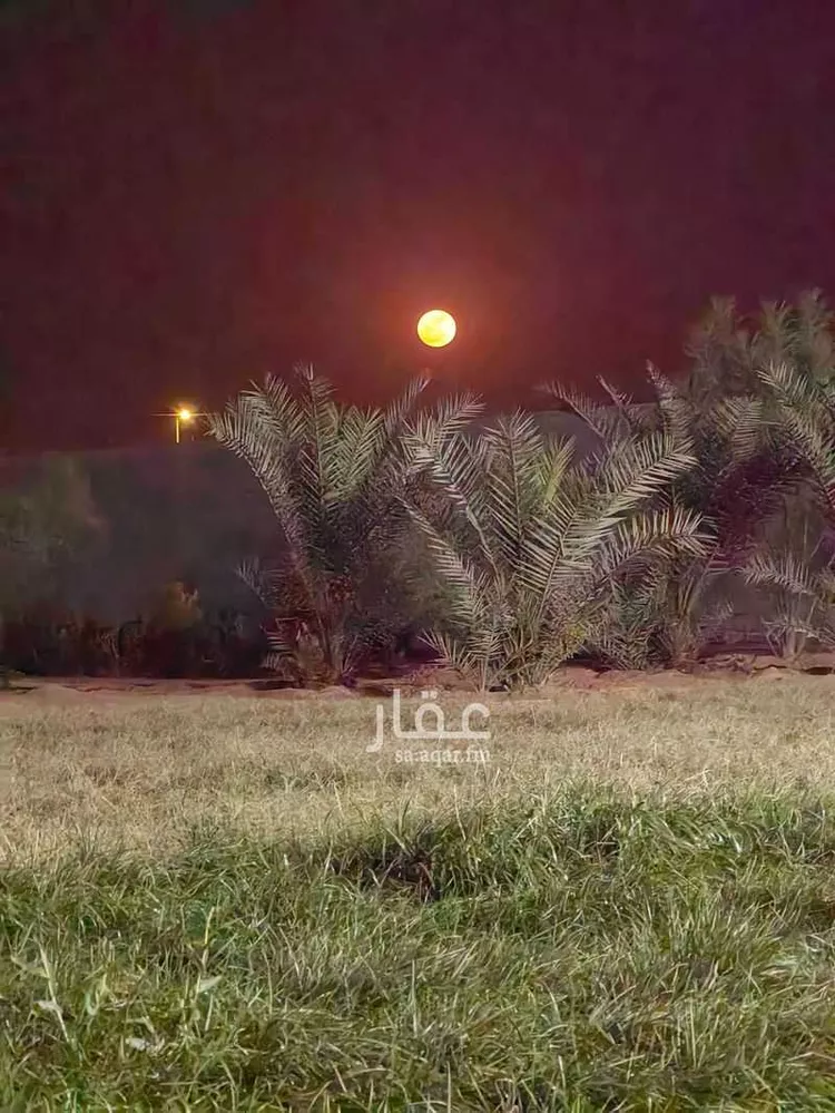 استراحة للبيع في شارع يعقوب بن داوود , حي الريحان, مدينة الخرج, منطقة الرياض صورة 5