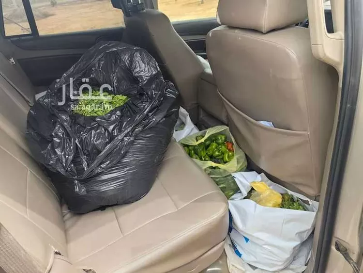 مزرعة للبيع في شارع يعقوب بن داوود , حي الريحان, مدينة الخرج, منطقة الرياض 6