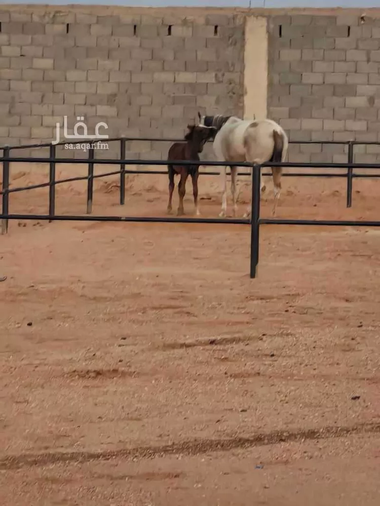 مزرعة للبيع في شارع يعقوب بن داوود , حي الريحان, مدينة الخرج, منطقة الرياض 16