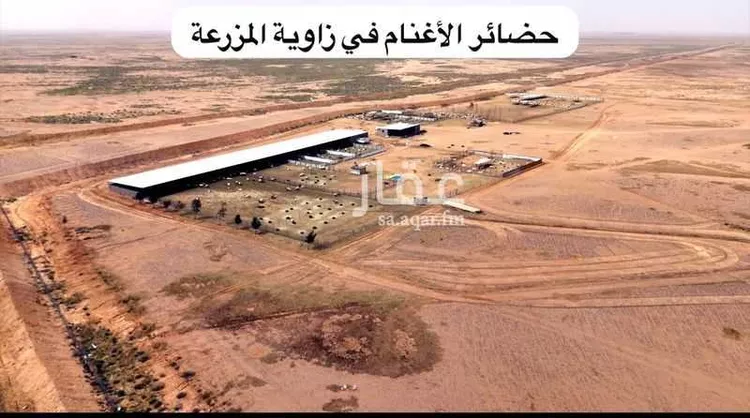 مزرعة للبيع في حي الابيتر, مدينة الشنان - الابيتر, منطقة حائل صورة 3