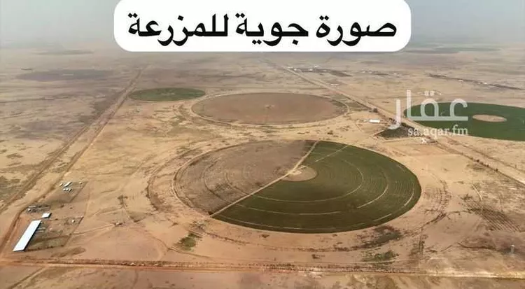 Farm for Sale in AlShinana Al Aziziyah