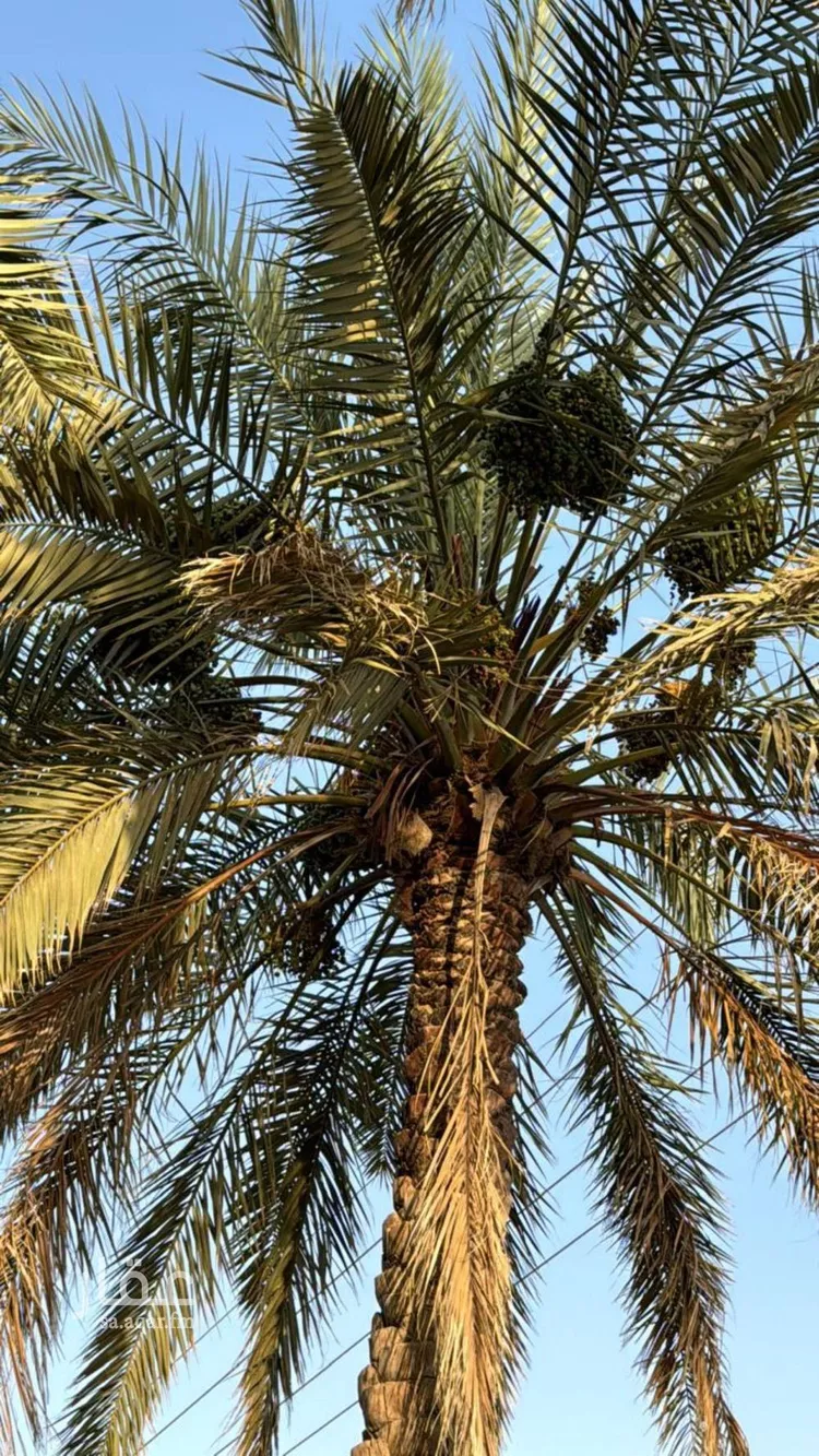استراحة للبيع في شارع فيصل بن عبدالعزيز, حي الحزم, مدينة حريملاء, منطقة الرياض صورة 4