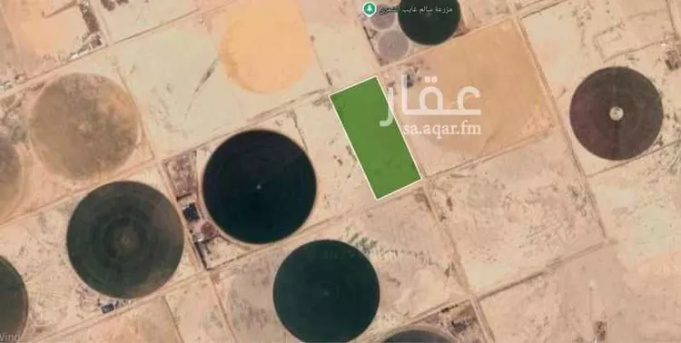 مزرعة للبيع في شارع الحكم الكلفي	, حي الجديدة, مدينة حائل - الجديده, منطقة حائل