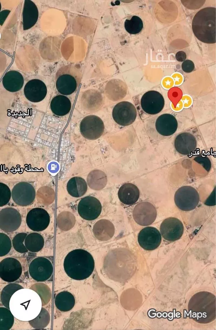 مزرعة للبيع في شارع الحكم الكلفي	, حي الجديدة, مدينة حائل - الجديده, منطقة حائل صورة 2