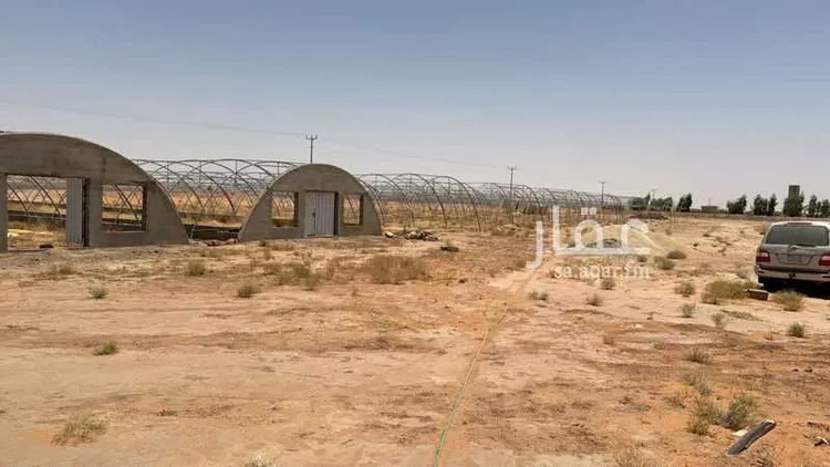 مزرعة للبيع في الفروثي ، المجمعة صورة 5