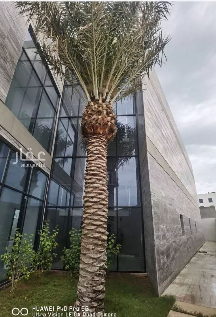 فيلا للبيع في شارع 10607234, حي البحر, مدينة الخبر, المنطقة الشرقية صورة 3