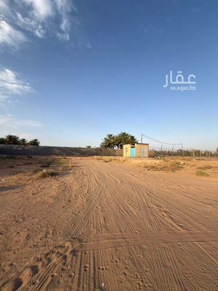 أرض للبيع في شارع الشقة 67, حي الشقة, مدينة بريدة, منطقة القصيم صورة 3
