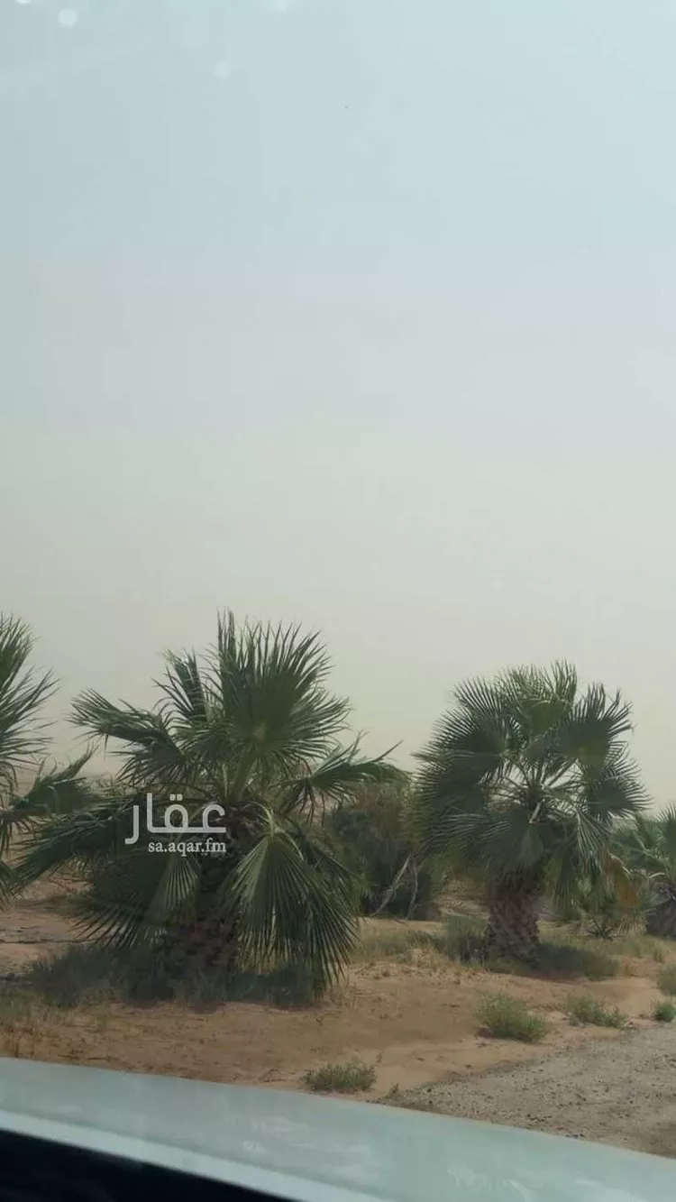 مزرعة للبيع في حي تبراك, مدينة الجلة, منطقة الرياض 16