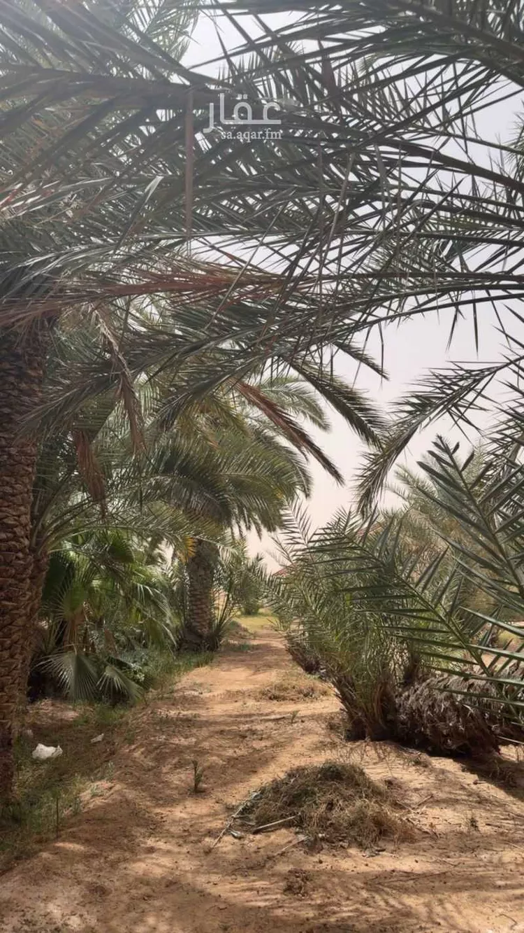 مزرعة للبيع في حي تبراك, مدينة الجلة, منطقة الرياض 12