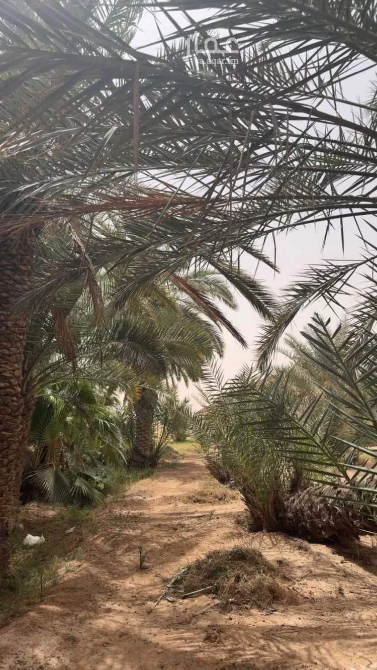 مزرعة للبيع في حي تبراك, مدينة الجلة, منطقة الرياض صورة 4