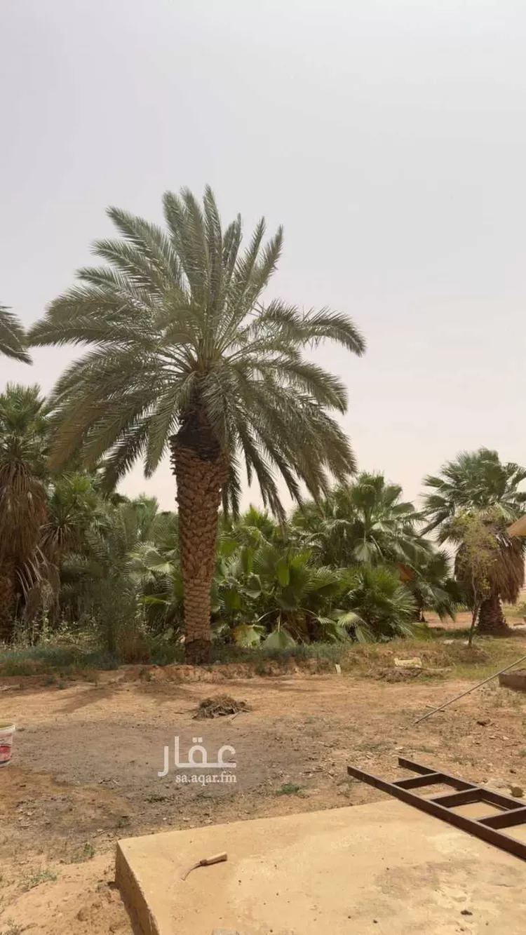 مزرعة للبيع في حي تبراك, مدينة الجلة, منطقة الرياض 13