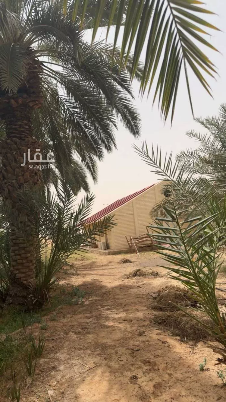 مزرعة للبيع في حي تبراك, مدينة الجلة, منطقة الرياض صورة 5