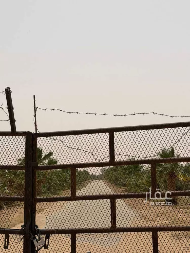 مزرعة للبيع في حي تبراك, مدينة الجلة, منطقة الرياض