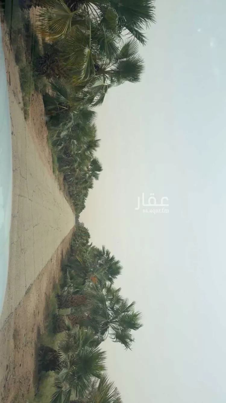 مزرعة للبيع في حي تبراك, مدينة الجلة, منطقة الرياض صورة 3