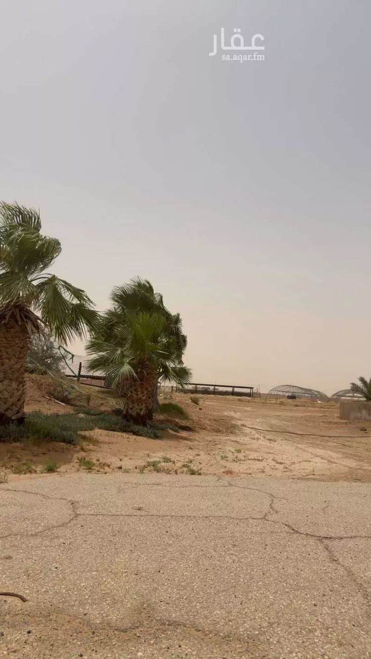 مزرعة للبيع في حي تبراك, مدينة الجلة, منطقة الرياض 19