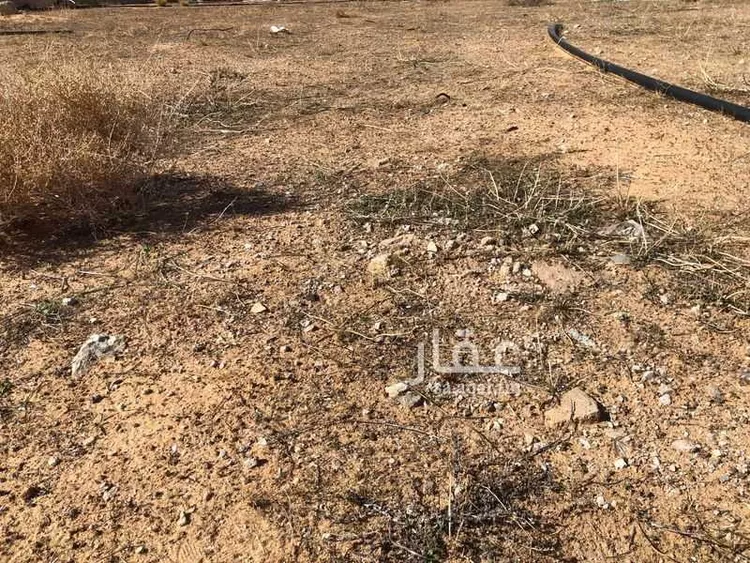 أرض للبيع في حي الفلاح, مدينة بريدة, منطقة القصيم صورة 4