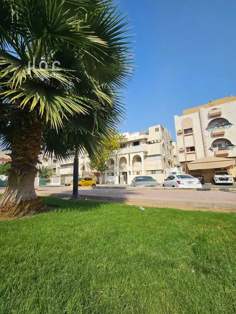 عمارة للإيجار في شارع السنوسي, حي الفيصلية, مدينة جدة, منطقة مكة المكرمة