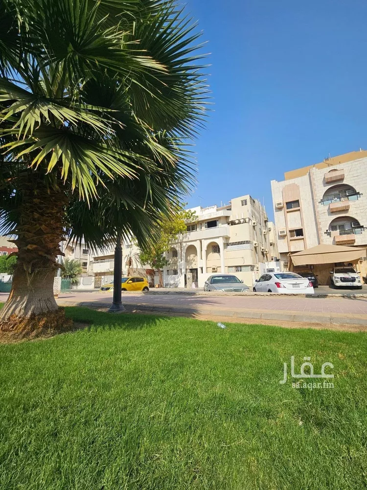دور للإيجار في شارع ابو الحسن العامري, حي الفيصلية, مدينة جدة, منطقة مكة المكرمة صورة 3