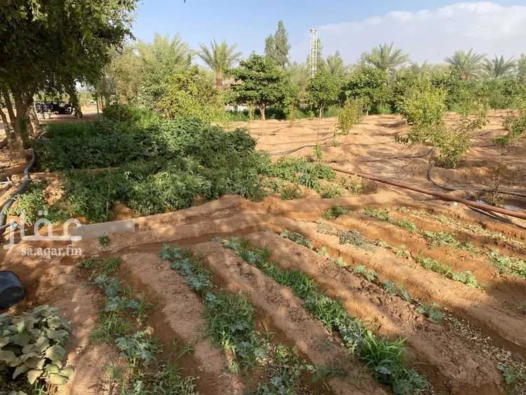 مزرعة للبيع في شارع الجله, حي العليا, مدينة الجلة, منطقة الرياض صورة 4