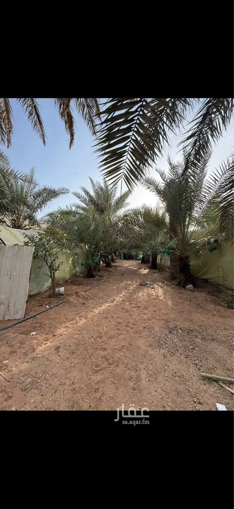 فيلا للإيجار في شارع عباس بن فرناس, حي سدير, مدينة الدلم, منطقة الرياض 12
