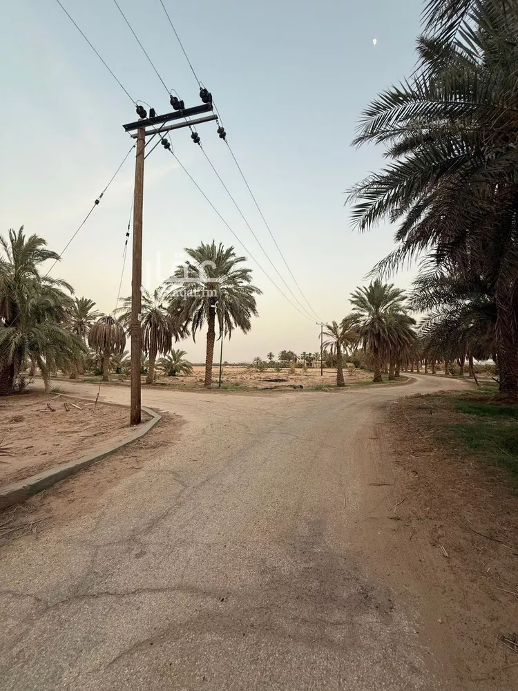 مزرعة للبيع في شارع السلطانيه 458, مدينة الخرج, منطقة الرياض صورة 5