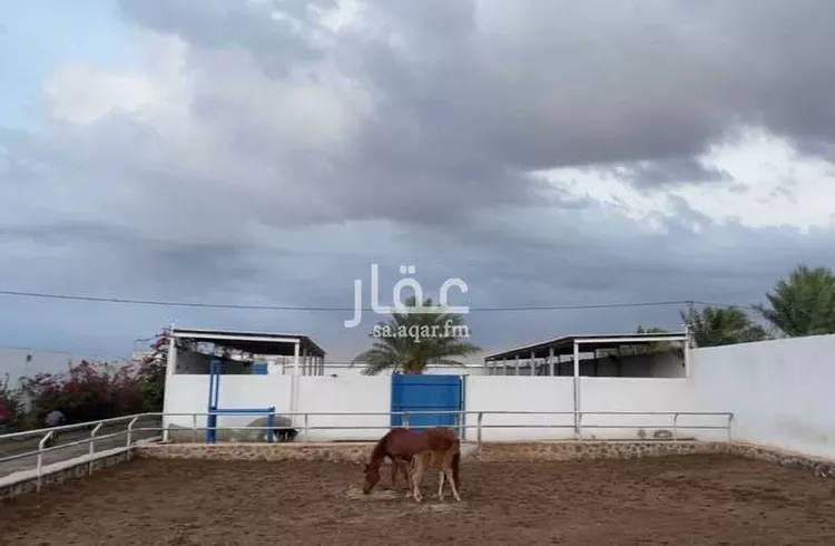 استراحة للبيع في شارع عسفان 165 ، القعرة ، الجموم صورة 3