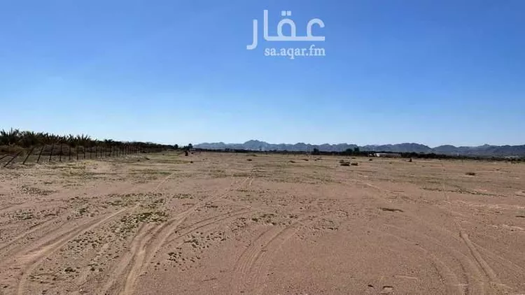 أرض للبيع في شارع 1496428, حي المليليح, مدينة المدينه المنوره, منطقة المدينة المنورة صورة 3