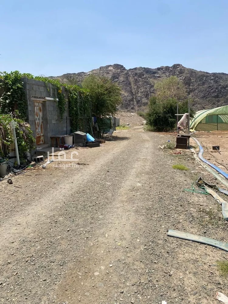 مزرعة للبيع في حي الدور, مدينة الدور, منطقة مكة المكرمة صورة 3