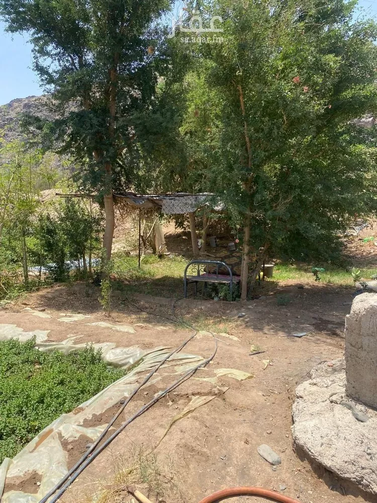 مزرعة للبيع في حي الدور, مدينة الدور, منطقة مكة المكرمة صورة 5