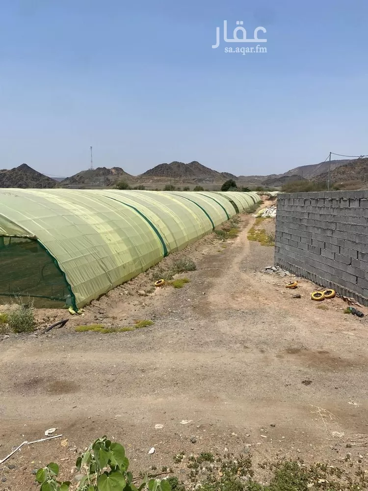 مزرعة للبيع في حي الدور, مدينة الدور, منطقة مكة المكرمة صورة 2