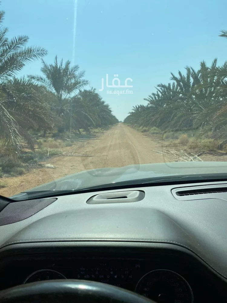 مزرعة للبيع في حي مزارع البكيريه الشماليه, مدينة مزارع البكيريه الشماليه, منطقة القصيم