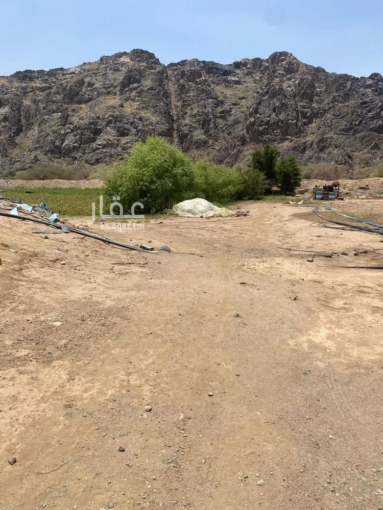 مزرعة للبيع في حي الدور, مدينة الدور, منطقة مكة المكرمة صورة 4