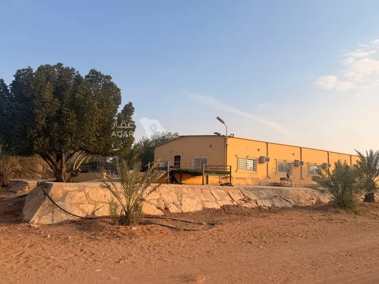 Farm for Sale in Thadiq Ad Deerah Al Kadimah صورة 3