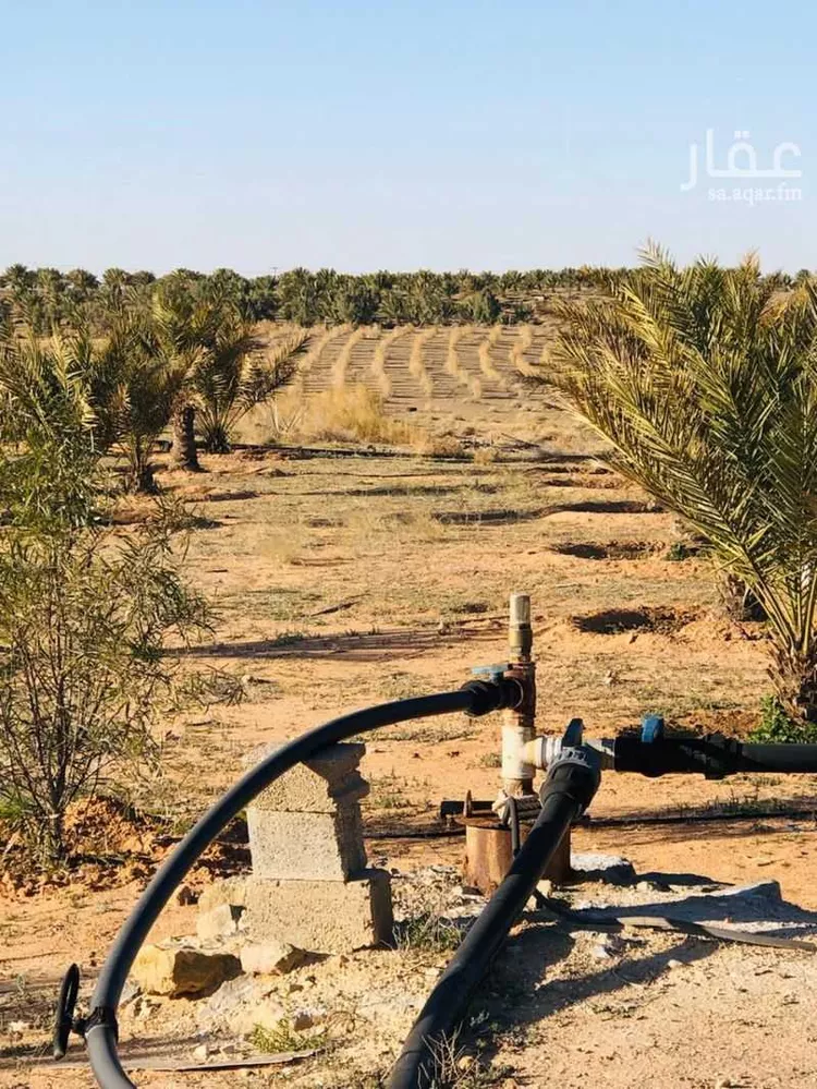 مزرعة للبيع في مدينة الغماس, منطقة القصيم صورة 3