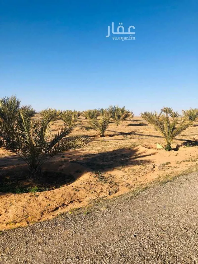 مزرعة للبيع في مدينة الغماس, منطقة القصيم صورة 2
