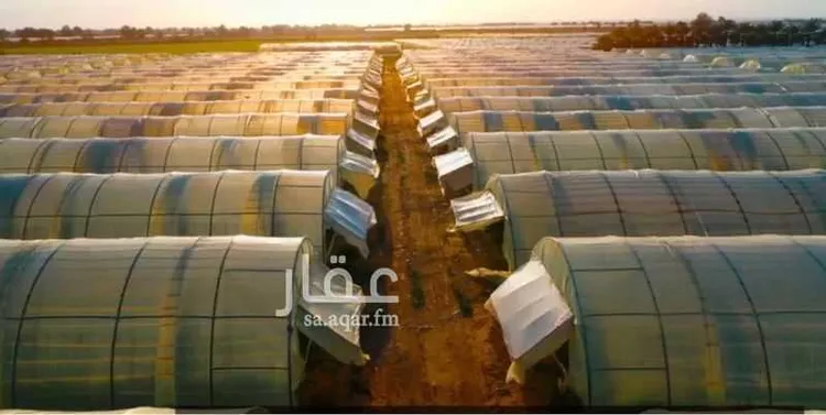 مزرعة للبيع في حي الضبيعة, مدينة الخرج, منطقة الرياض صورة 2