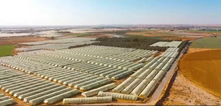 Farm for Sale in Ad Dilam As Suaidan