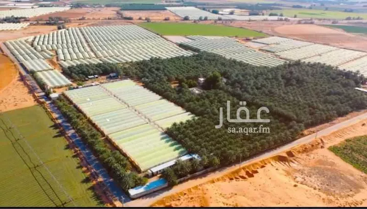 مزرعة للبيع في حي الضبيعة, مدينة الخرج, منطقة الرياض صورة 2