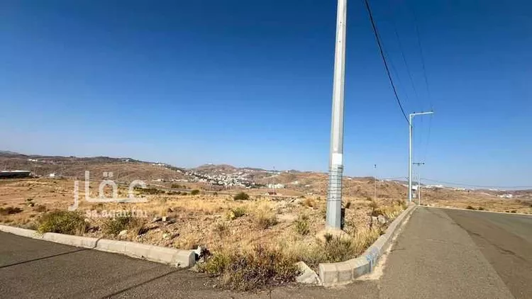 Land for Sale in Al Bahah Shahbah صورة 4