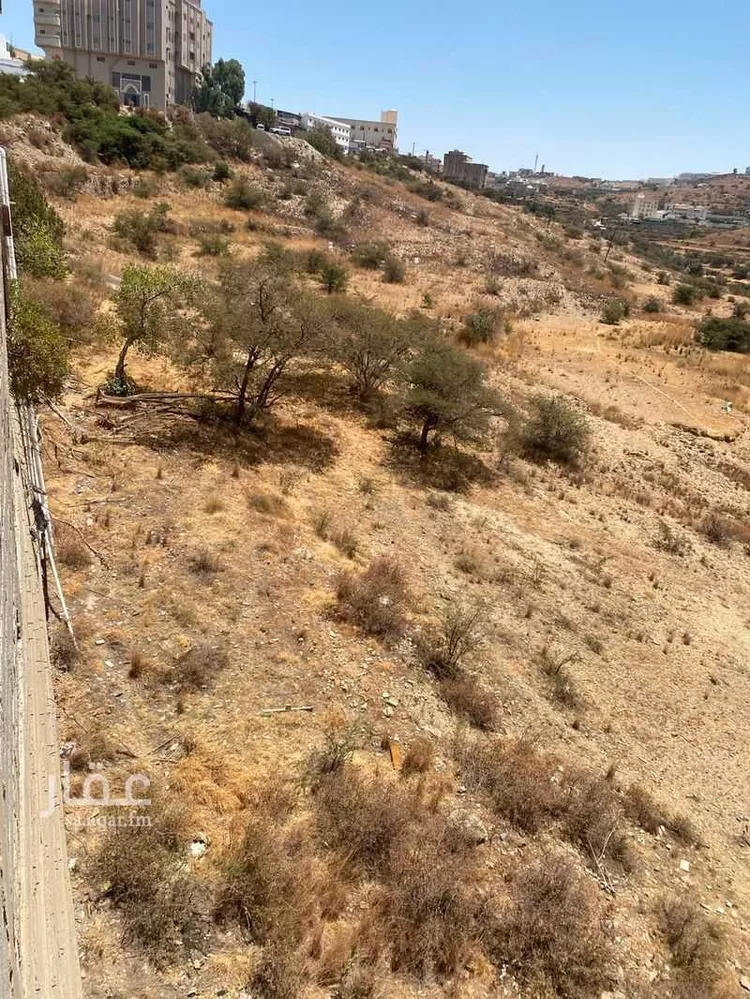 Land for Sale in Al Bahah Raghdan صورة 3