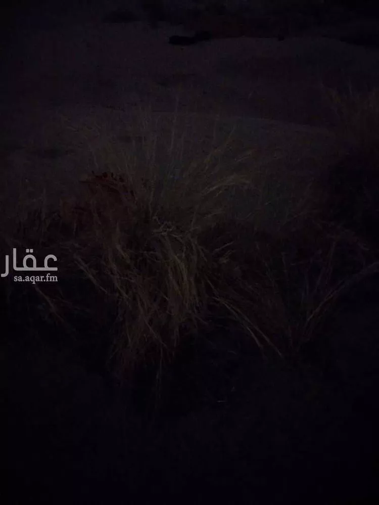 أرض للبيع في شارع الطويه ، حي الفيصلية ، الدمام ، الدمام صورة 5