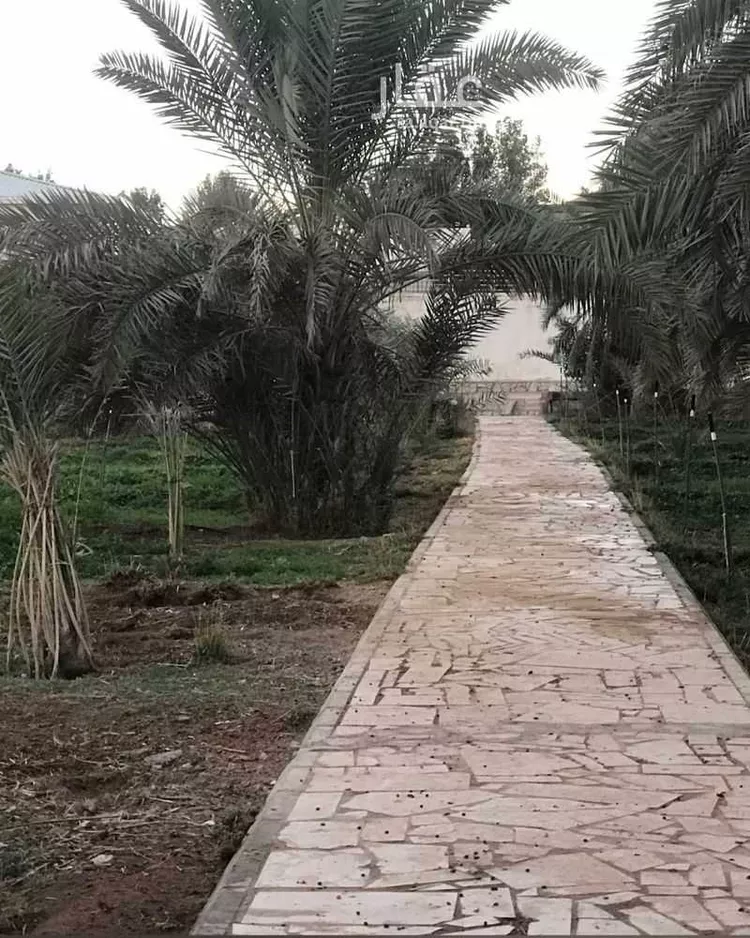 مزرعة للبيع في مدينة ضرما, منطقة الرياض