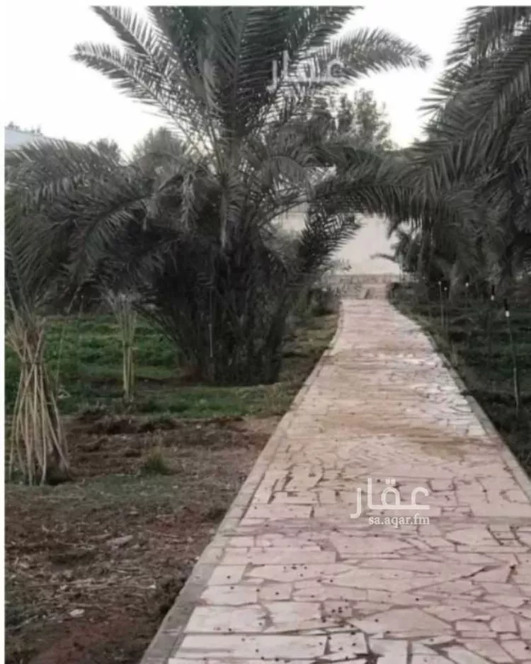 مزرعة للبيع في مدينة ضرما, منطقة الرياض صورة 2