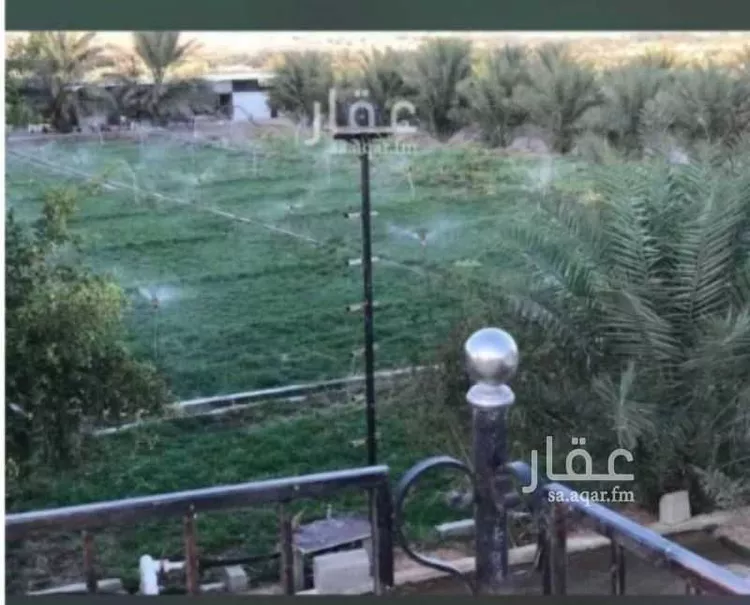 مزرعة للبيع في مدينة ضرما, منطقة الرياض صورة 4