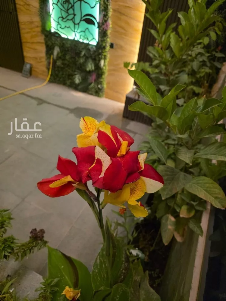 فيلا للإيجار في شارع التويم, حي العليا, مدينة الرياض, منطقة الرياض صورة 3