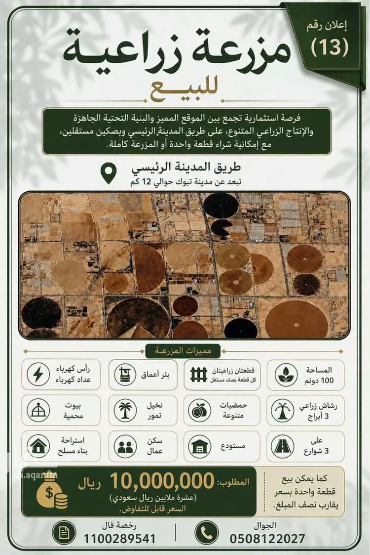 أرض للبيع في شارع 1111, حي مزارع جنوب طريق المدينه (الاولى), مدينة مزارع جنوب طريق المدينه (الاولى), منطقة تبوك صورة 5
