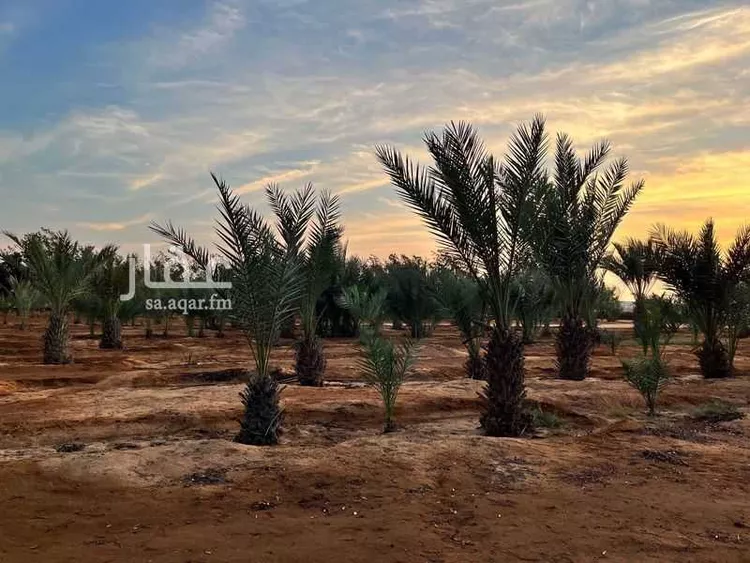 أرض للبيع في شارع شارع طابة 4, حي طابة, مدينة جدة, منطقة مكة المكرمة صورة 3