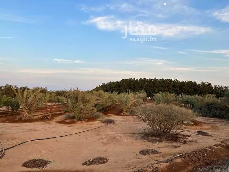 أرض للبيع في شارع شارع طابة 4, حي طابة, مدينة جدة, منطقة مكة المكرمة 7