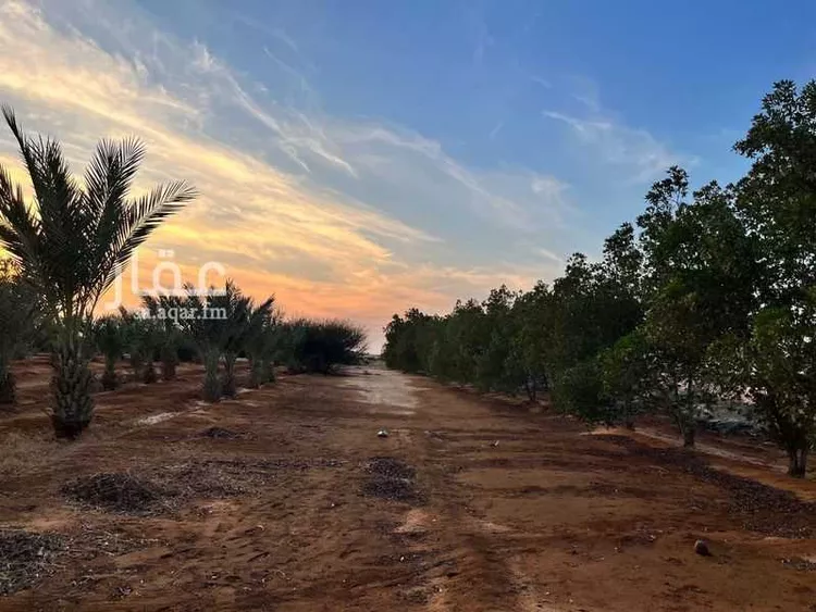 أرض للبيع في شارع شارع طابة 4, حي طابة, مدينة جدة, منطقة مكة المكرمة 8
