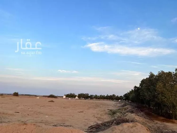 أرض للبيع في شارع شارع طابة 4, حي طابة, مدينة جدة, منطقة مكة المكرمة صورة 4